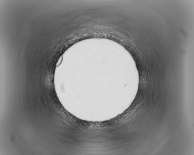 X0000110871490200907301401