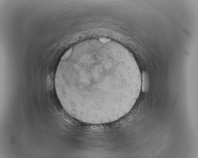 X0000110871491200907301402