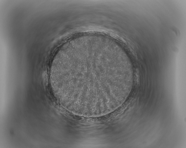 X0000110871493200907301402