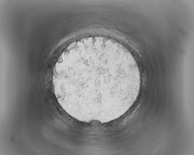 X0000110871494200907301402