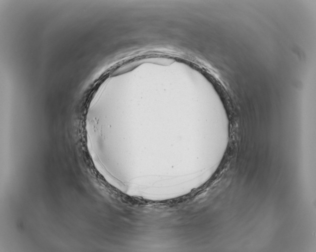 X0000110871496200907301402