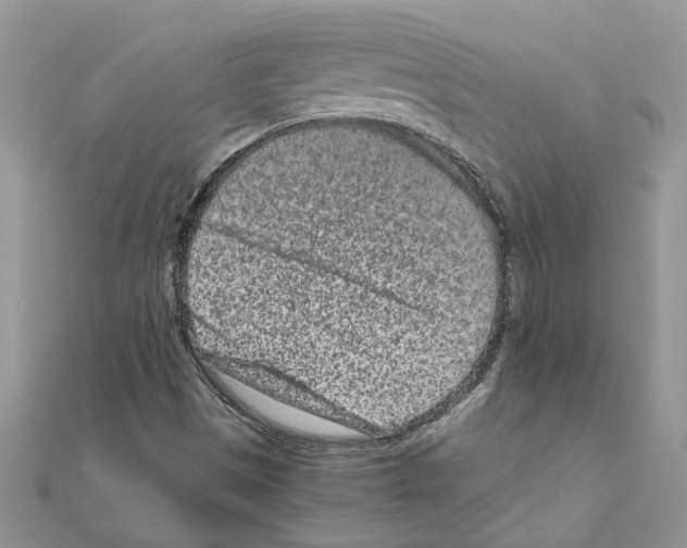 X0000110871497200907301402