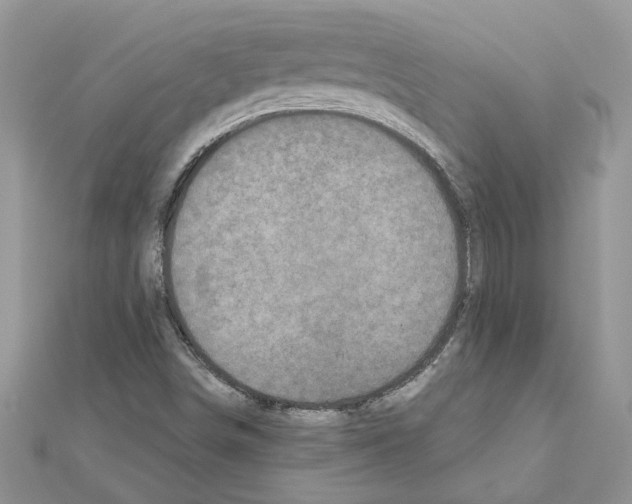 X0000110871498200907301402