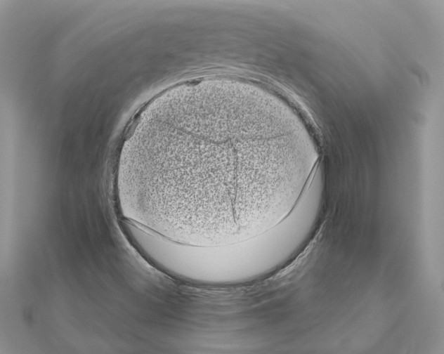 X0000110871500200907301402