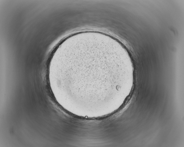 X0000110871502200907301402