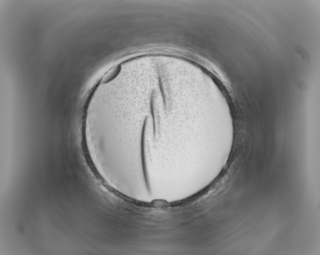 X0000110871504200907301402