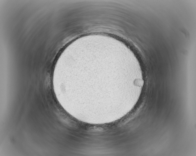 X0000110871505200907301402