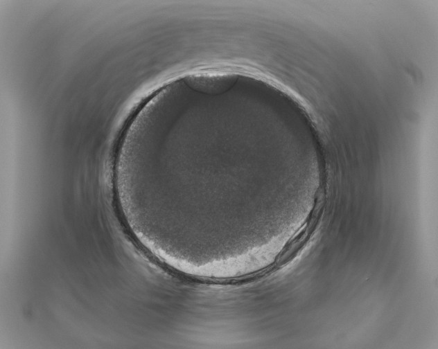 X0000110871506200907301402