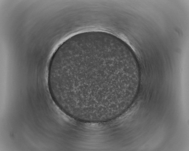 X0000110871508200907301402