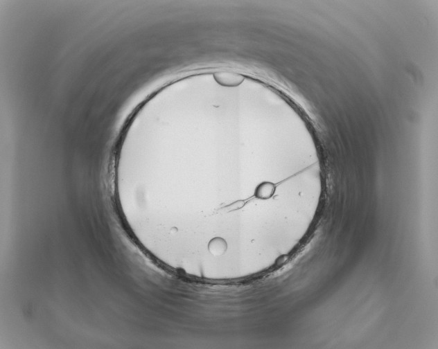 X0000110871510200907301402