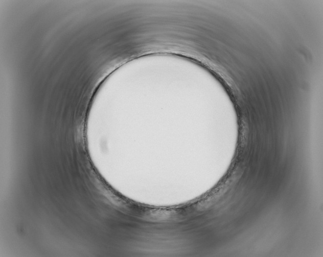 X0000110871513200907301402