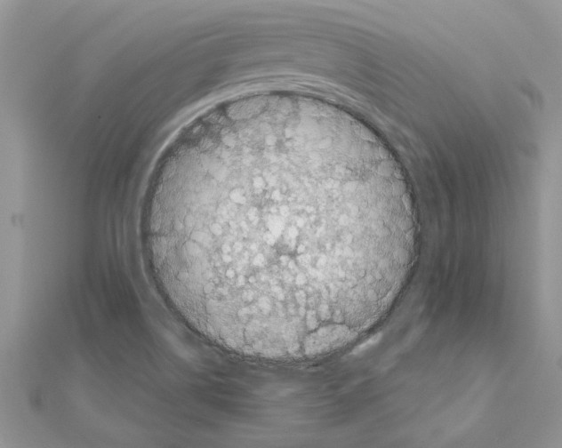 X0000110871514200907301402