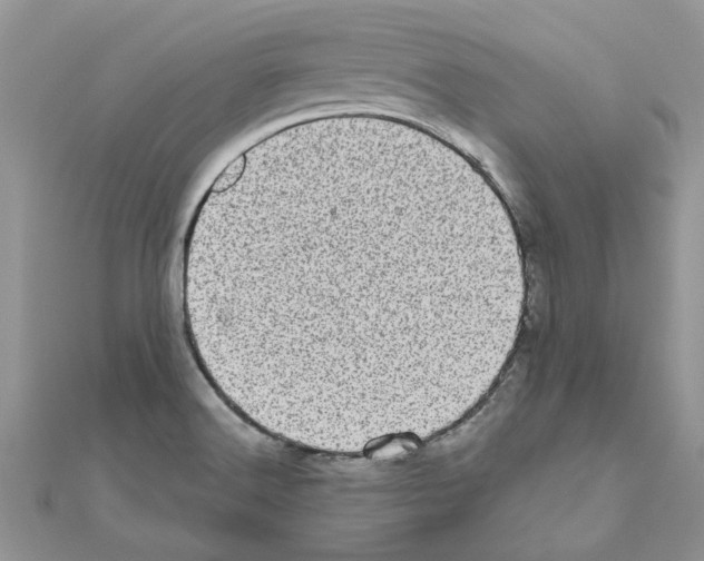 X0000110871516200907301402