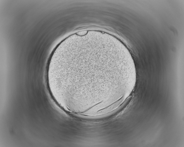 X0000110871518200907301402