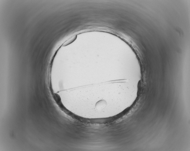 X0000110871520200907301402