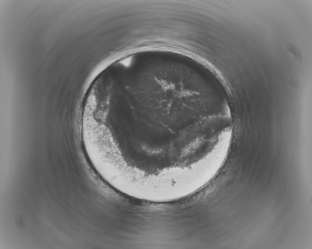 X0000110871522200907301402