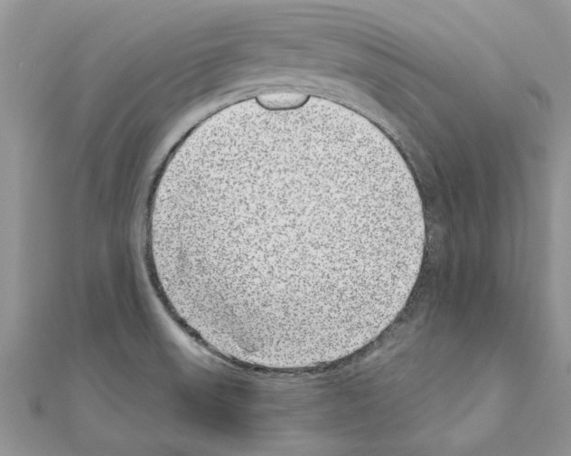 X0000110871523200907301402