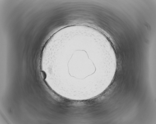 X0000110871525200907301402