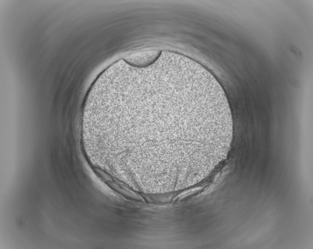 X0000110871526200907301402