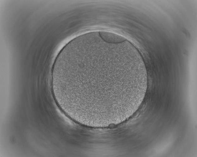 X0000110871527200907301402