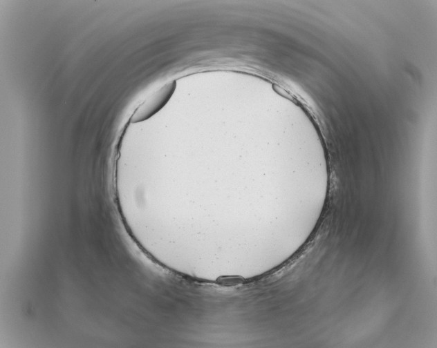 X0000110871528200907301402