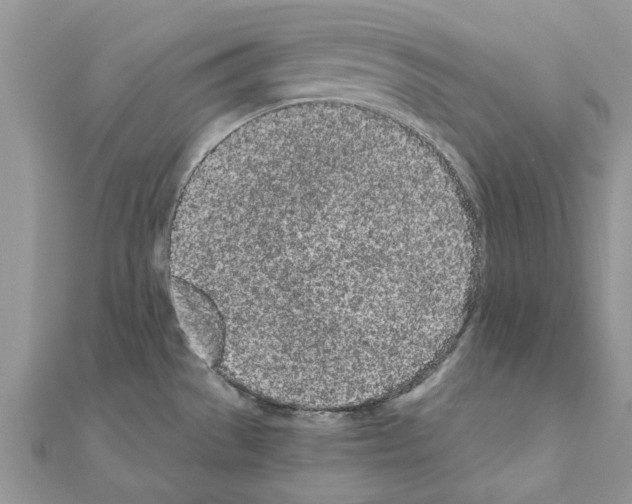 X0000110871529200907301402