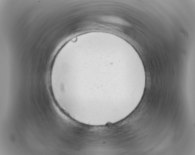 X0000110871531200907301402