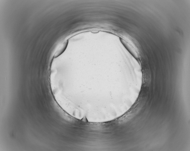 X0000110871532200907301402