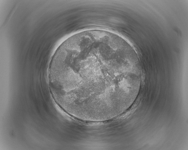 X0000110871535200907301402