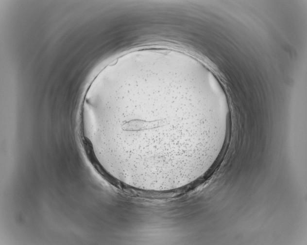 X0000110871536200907301402