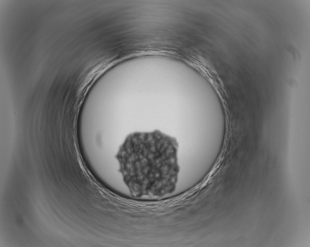 X0000110880001200906180954