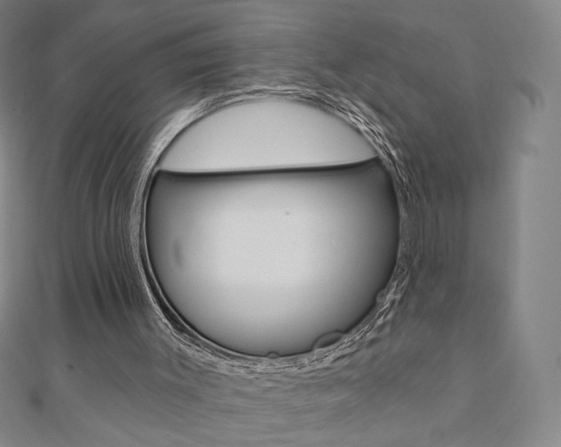 X0000110880003200906180954