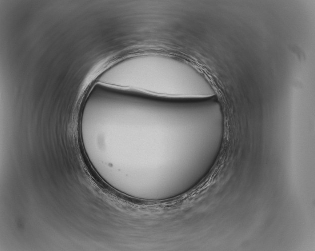 X0000110880004200906180954
