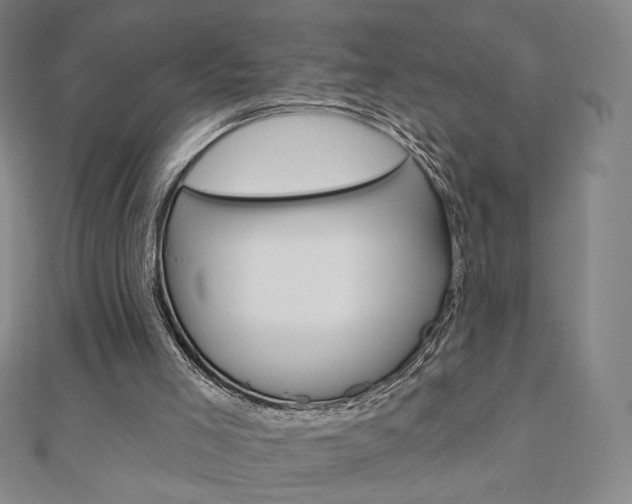 X0000110880005200906180954
