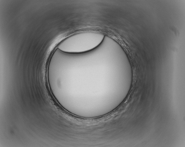 X0000110880006200906180954