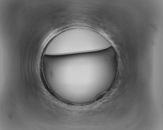 X0000110880007200906180954