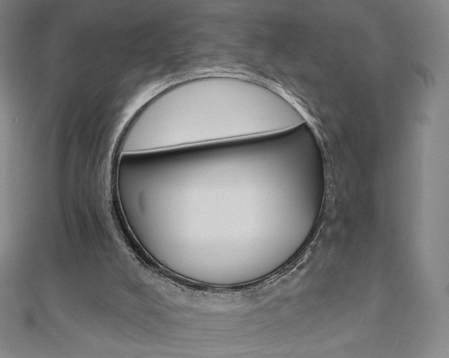 X0000110880008200906180954