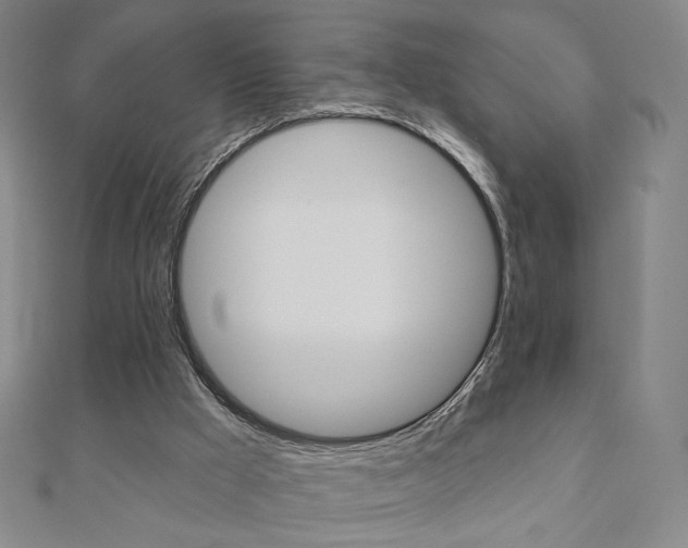 X0000110880009200906180954