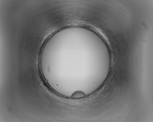 X0000110880010200906180954