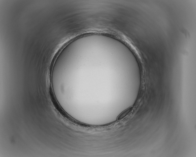 X0000110880011200906180954