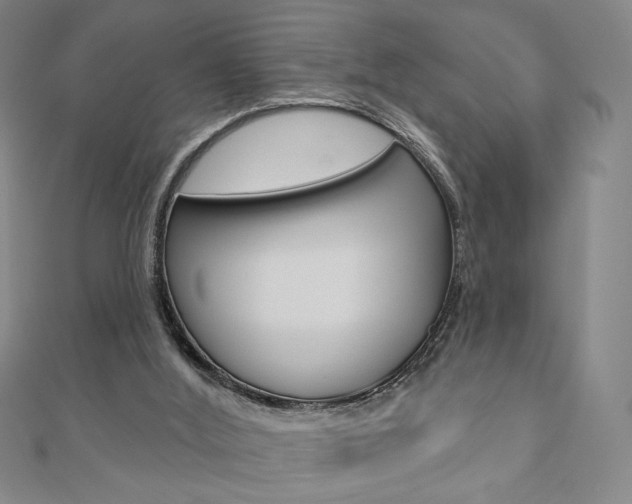 X0000110880012200906180954