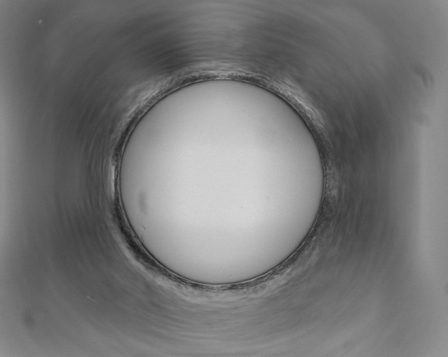 X0000110880014200906180954