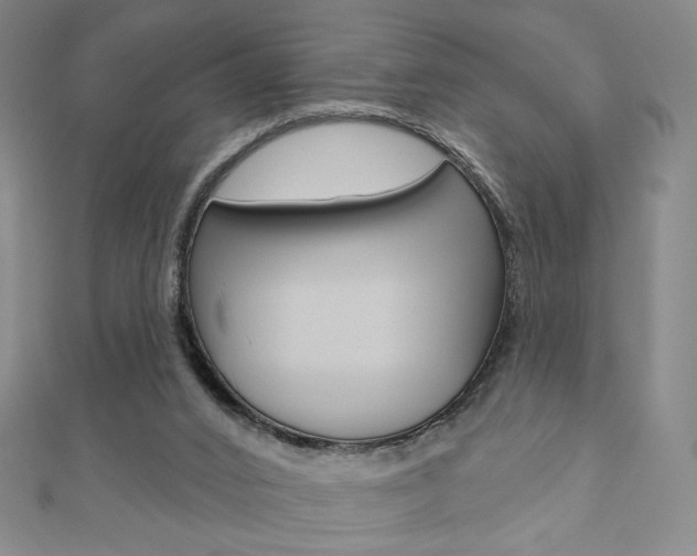 X0000110880016200906180954