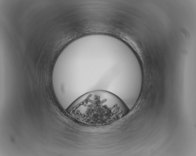 X0000110880017200906180954