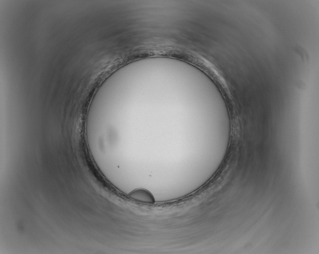 X0000110880018200906180954
