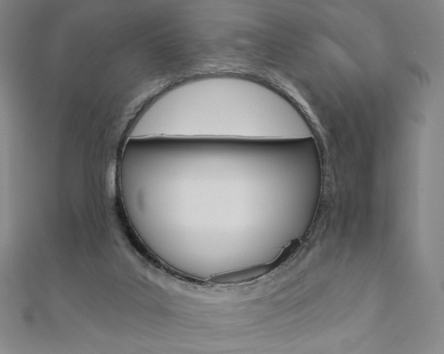X0000110880019200906180954