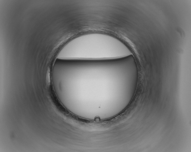 X0000110880020200906180954