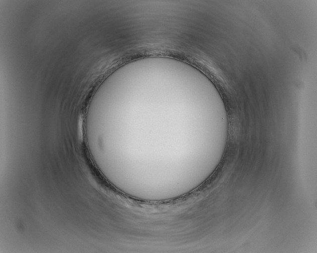 X0000110880022200906180954
