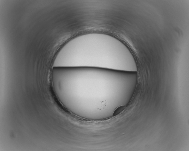 X0000110880023200906180954