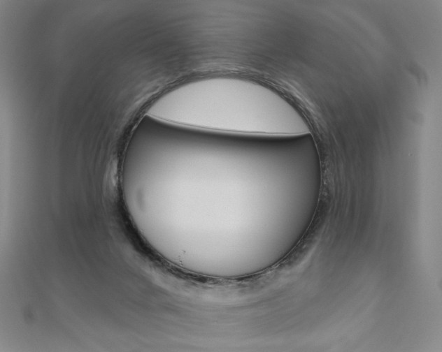 X0000110880024200906180954